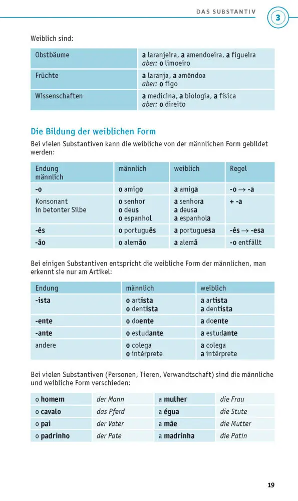 Bild: 9783125624450 | PONS Grammatik kurz &amp; bündig Portugiesisch | Taschenbuch | 136 S.