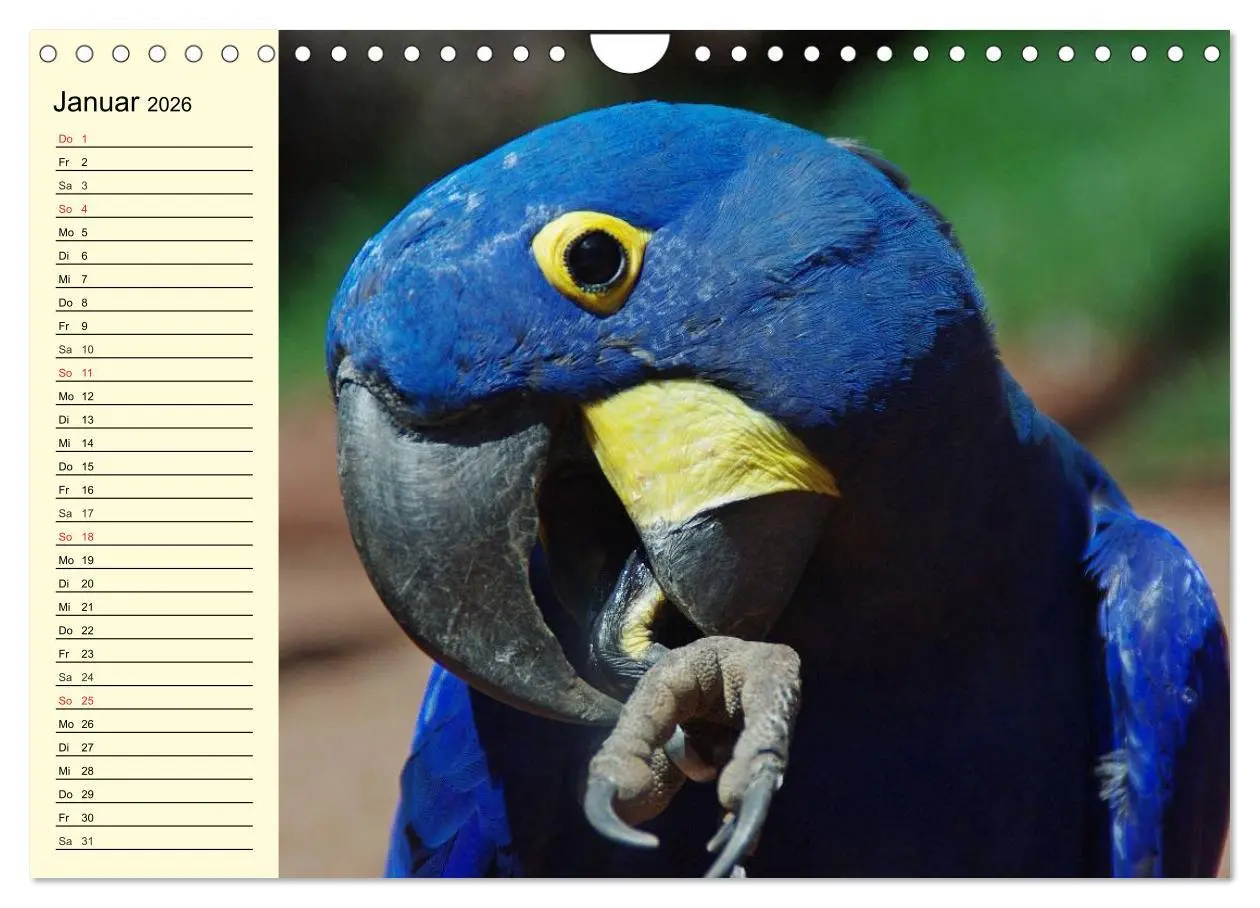 Bild: 9783457994450 | Brasilien. Faszinierend und groß wie ein Kontinent (Wandkalender...