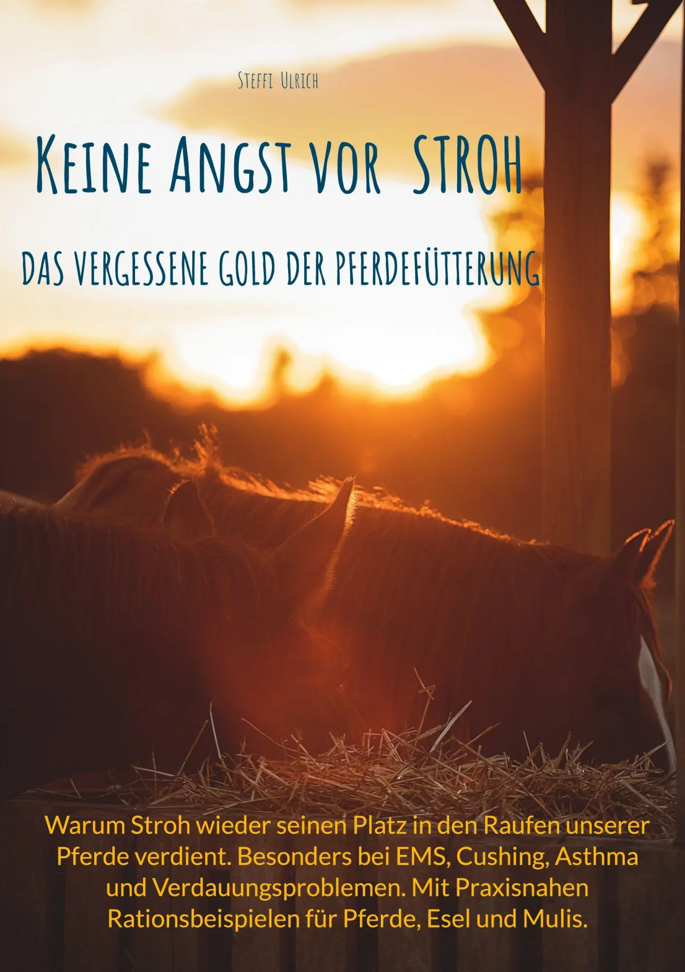Cover: 9783819264450 | Keine Angst vor Stroh | Das vergessene Gold der Pferdefütterung | Buch