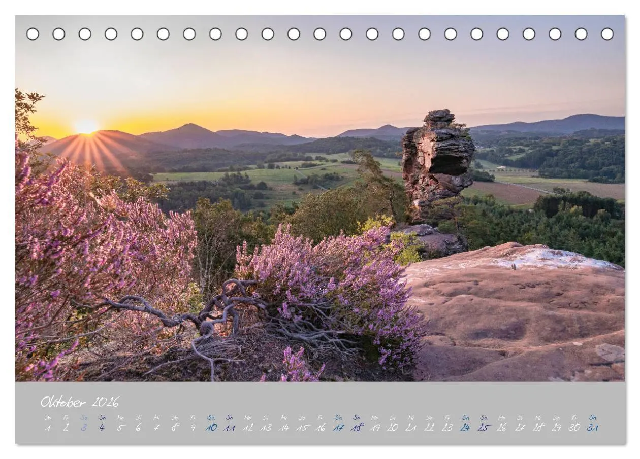 Bild: 9783457674550 | Ausflüge in der Heimat - Die Pfalz (Tischkalender 2026 DIN A5...