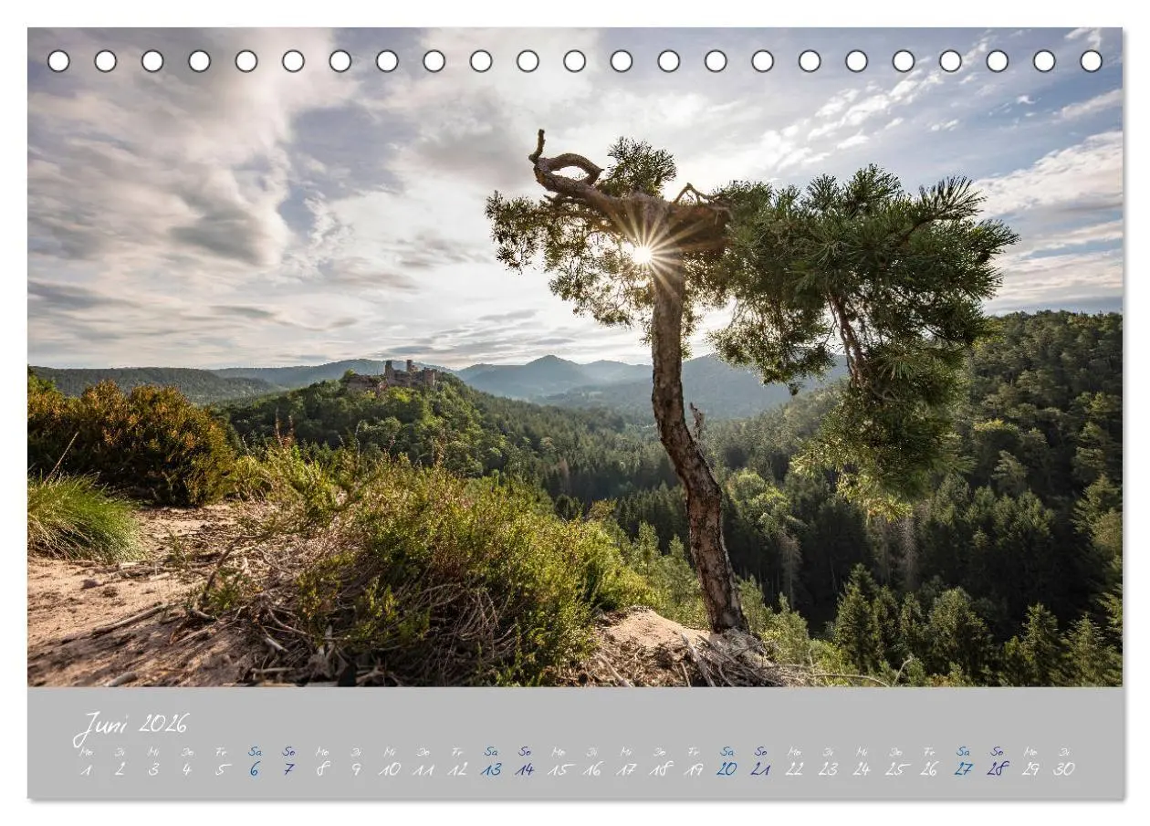 Bild: 9783457674550 | Ausflüge in der Heimat - Die Pfalz (Tischkalender 2026 DIN A5...