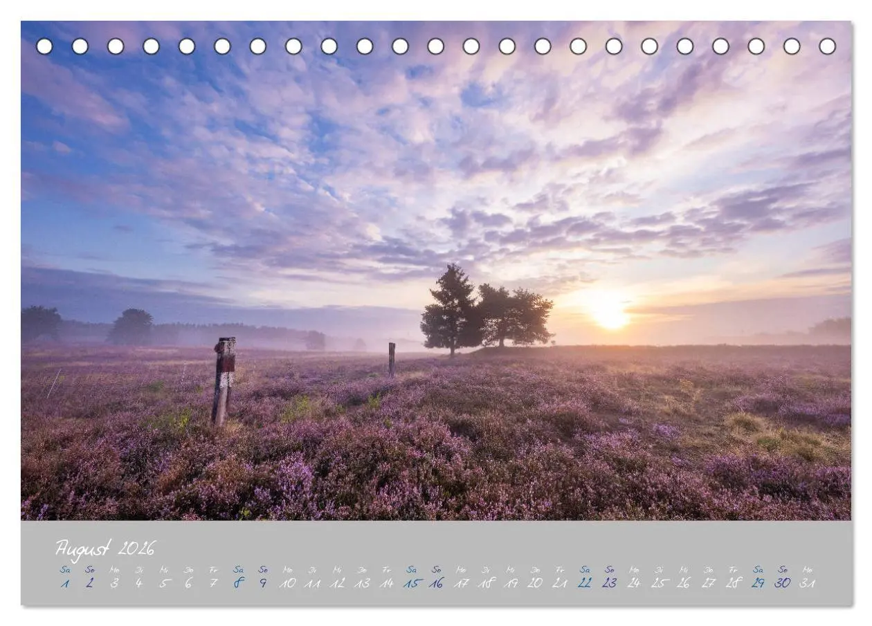 Bild: 9783457674550 | Ausflüge in der Heimat - Die Pfalz (Tischkalender 2026 DIN A5...
