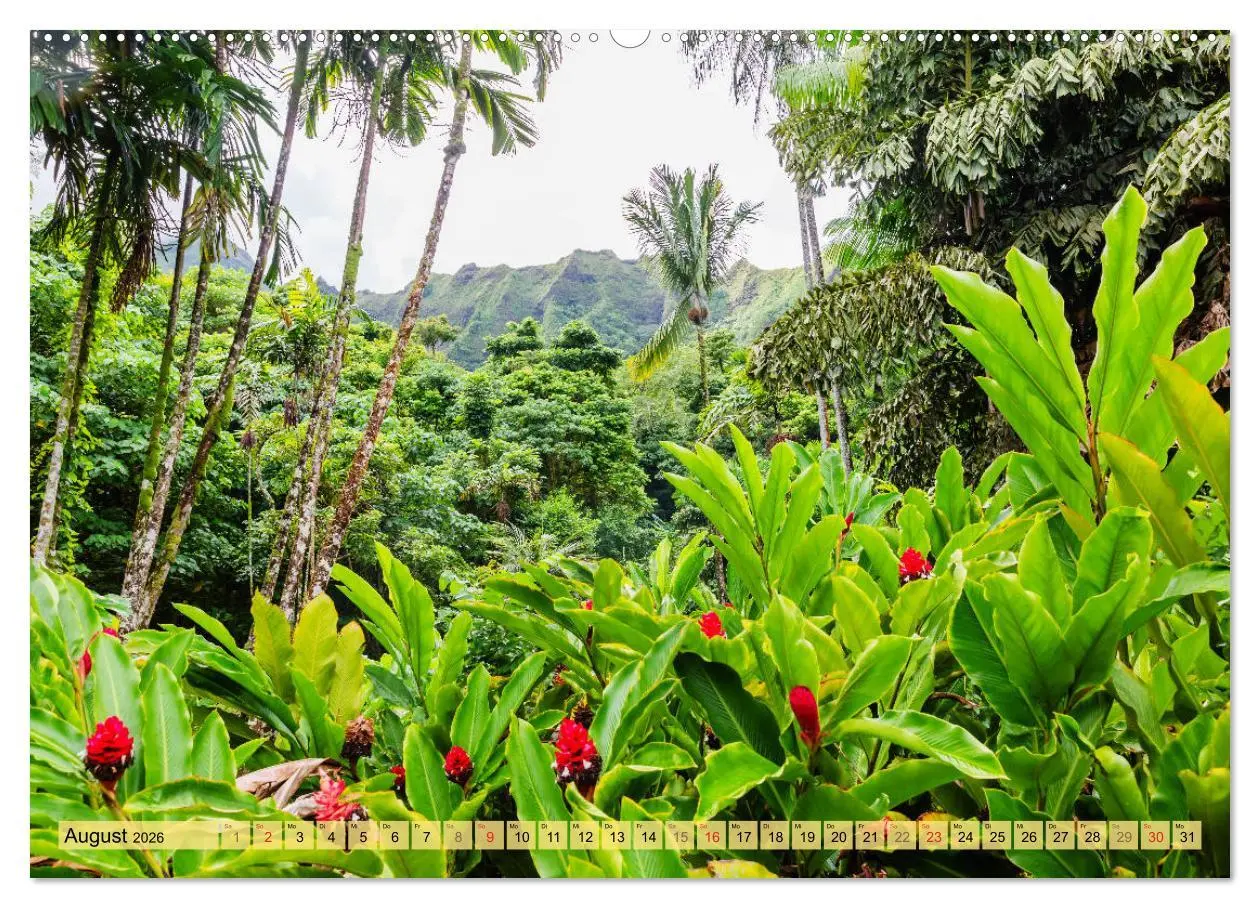 Bild: 9783457744550 | O'ahu - Eine Reise in das Herz von Hawaii (Wandkalender 2026 DIN A2...