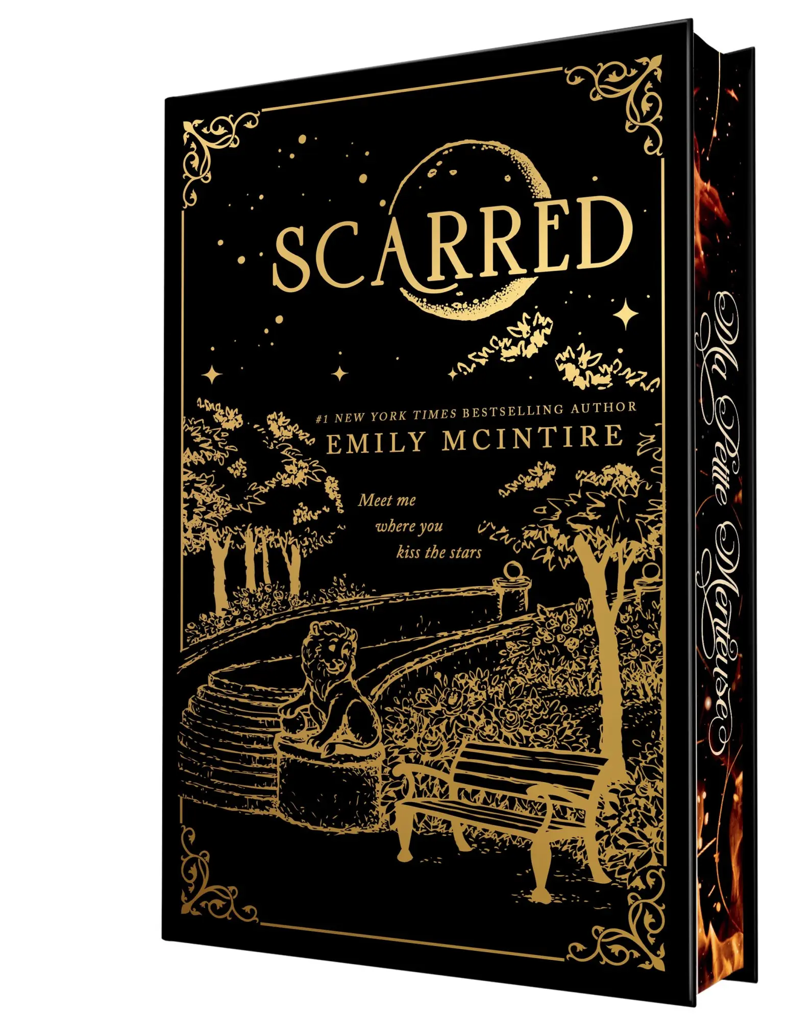 Cover: 9781464244650 | Scarred (Collector's Edition) | Emily McIntire | Buch | Never After