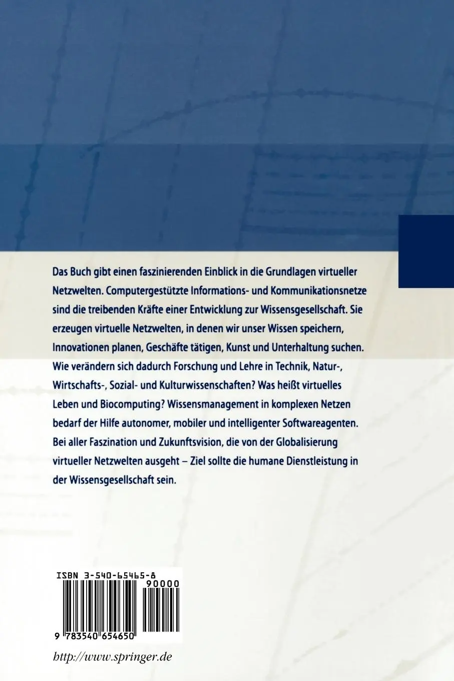 Rückseite: 9783540654650 | Computernetze und virtuelle Realität | Klaus Mainzer | Taschenbuch