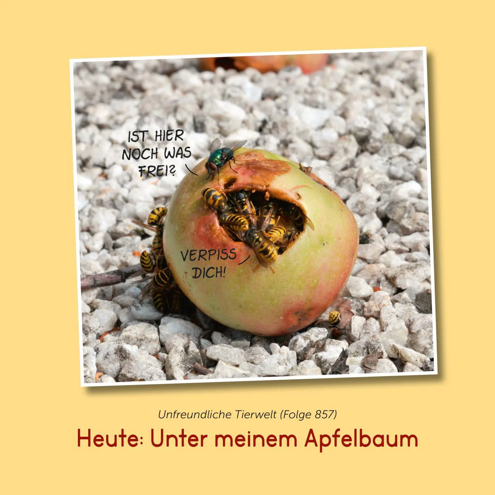 Bild: 9783830344650 | Im Garten! | Uli Stein | Buch | Uli Stein Für dich! | 64 S. | Deutsch