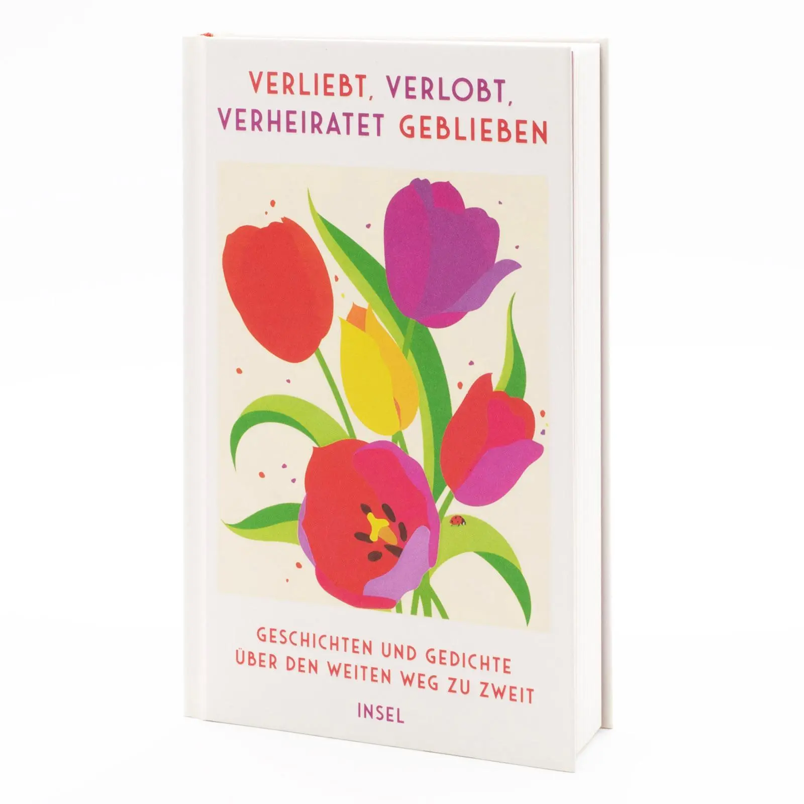 Bild: 9783458644750 | Verliebt, verlobt, verheiratet geblieben | Clara Paul | Buch | 199 S.