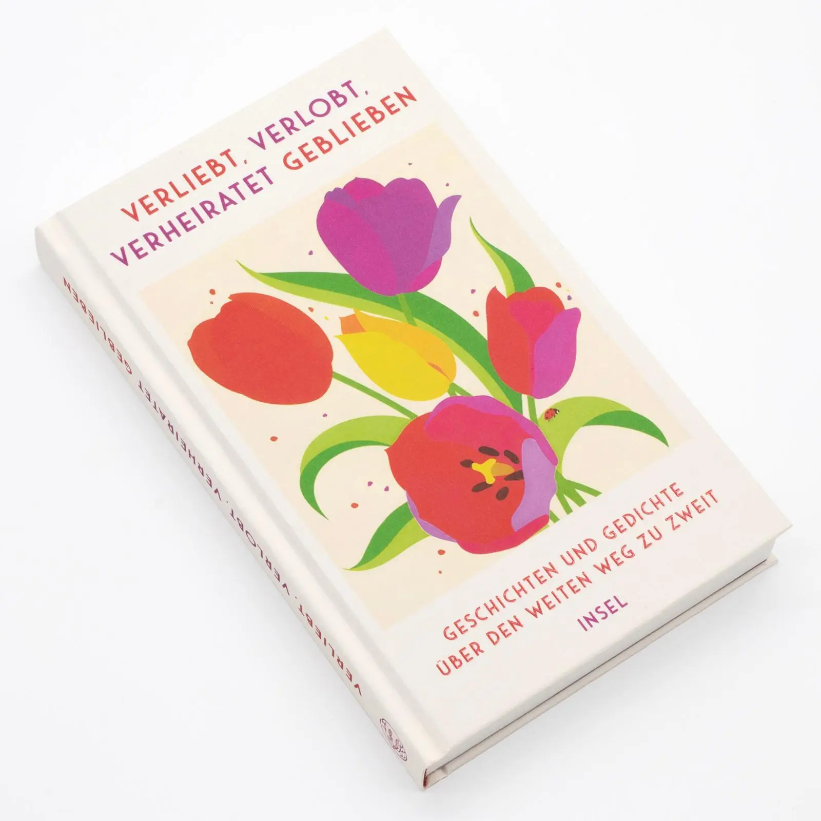 Bild: 9783458644750 | Verliebt, verlobt, verheiratet geblieben | Clara Paul | Buch | 199 S.