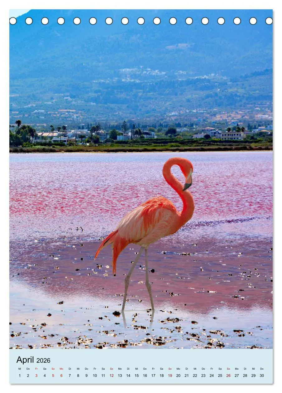 Bild: 9783516294750 | Drei-Insel-Tour (Tischkalender 2026 DIN A5 hoch), CALVENDO...