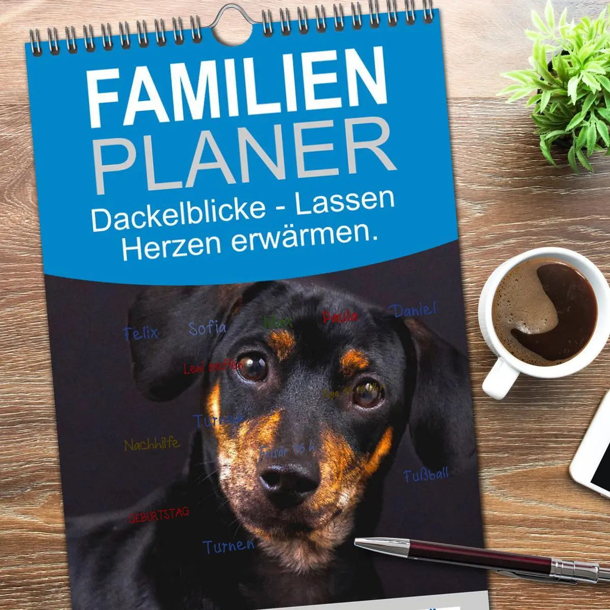 Bild: 9783516504750 | Familienplaner 2026 - Dackelblicke - Lassen Herzen erwärmen. mit 5...