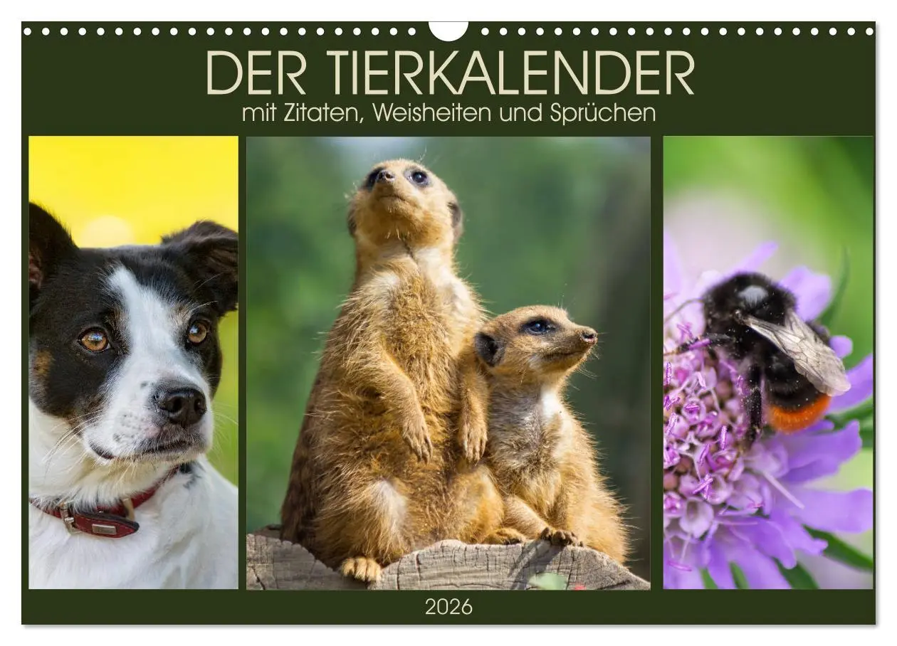 Cover: 9783516104950 | Der Tierkalender mit Zitaten, Weisheiten und Sprüchen (Wandkalender...