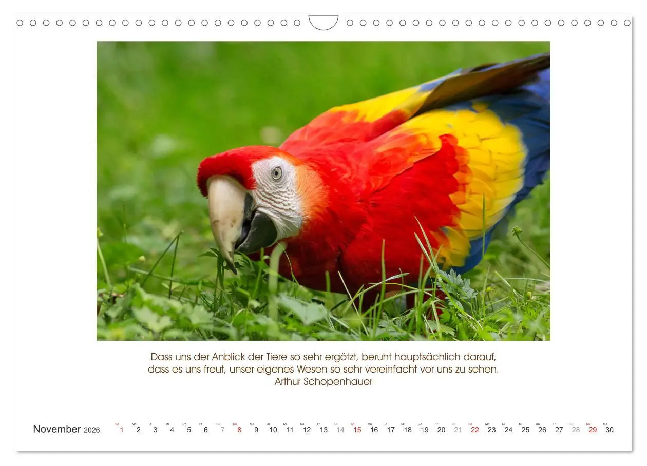 Bild: 9783516104950 | Der Tierkalender mit Zitaten, Weisheiten und Sprüchen (Wandkalender...