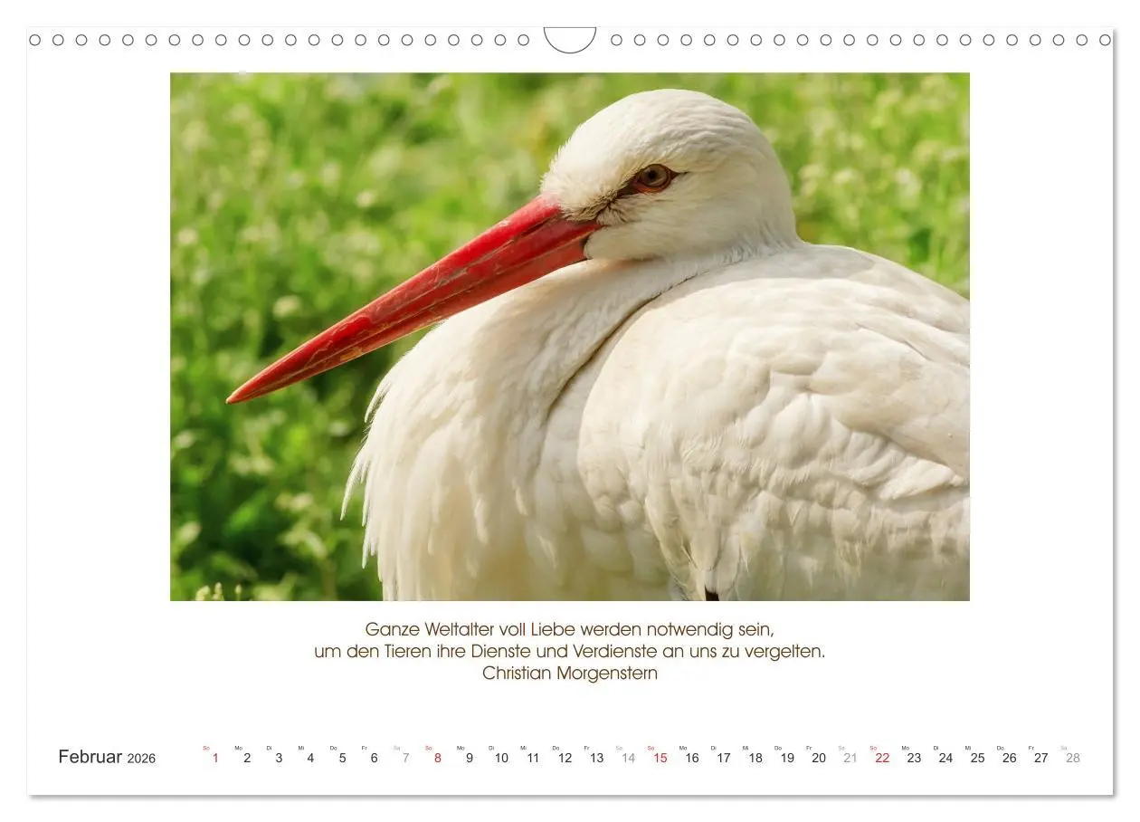 Bild: 9783516104950 | Der Tierkalender mit Zitaten, Weisheiten und Sprüchen (Wandkalender...