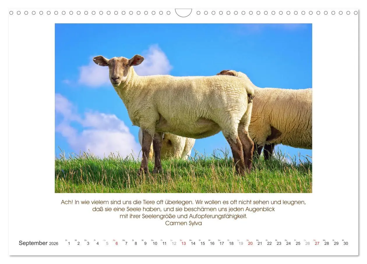 Bild: 9783516104950 | Der Tierkalender mit Zitaten, Weisheiten und Sprüchen (Wandkalender...