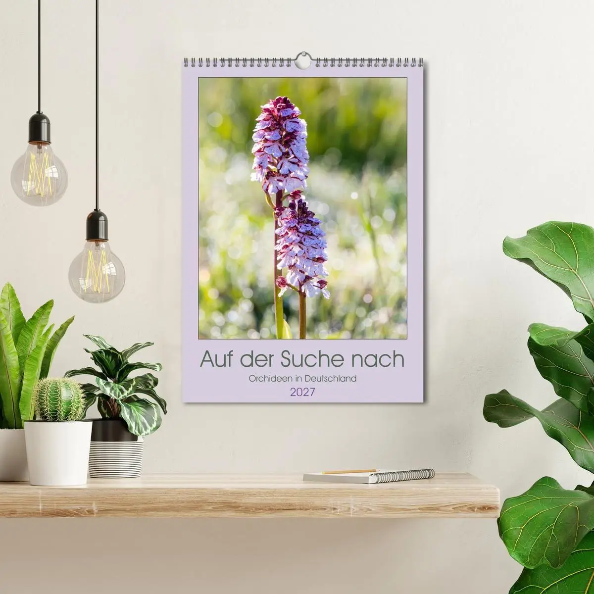 Bild: 9783569565050 | Auf der Suche nach Orchideen in Deutschland (Wandkalender 2027 DIN...