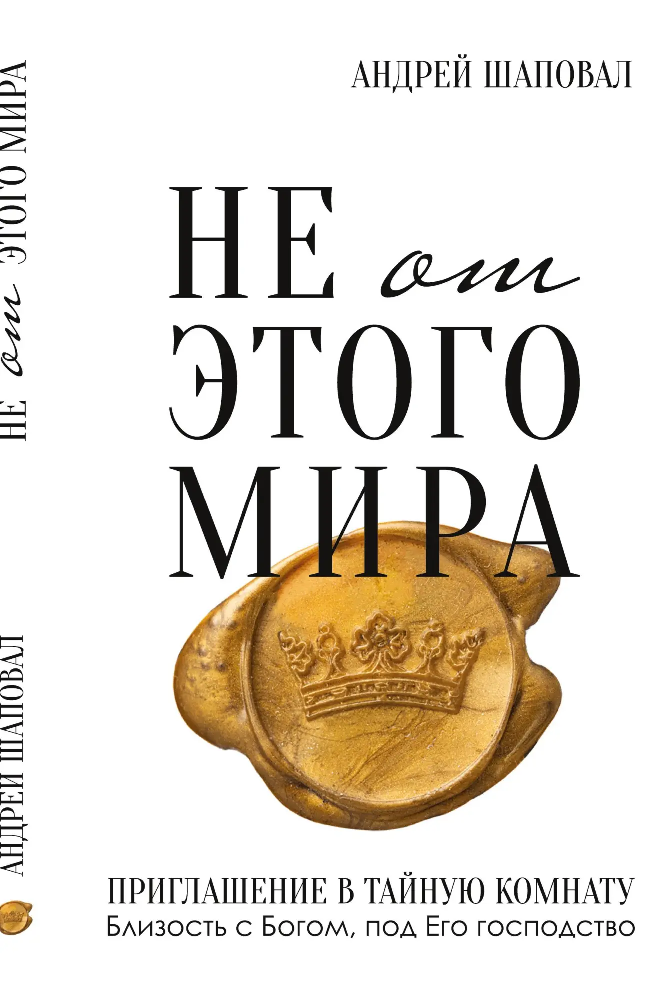 Cover: 9798989365050 | Not of This World (Russian edition) | Andrey Shapoval | Taschenbuch