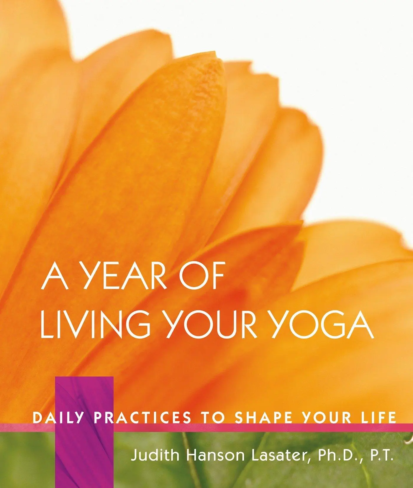 Cover: 9781930485150 | A Year of Living Your Yoga: Daily Practices to Shape Your Life | Buch