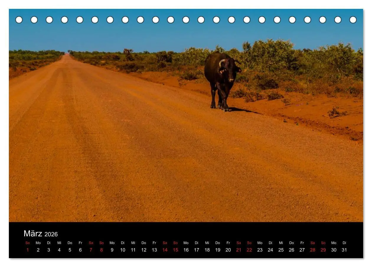 Bild: 9783516155150 | Australien - Der Westen (Tischkalender 2026 DIN A5 quer), CALVENDO...