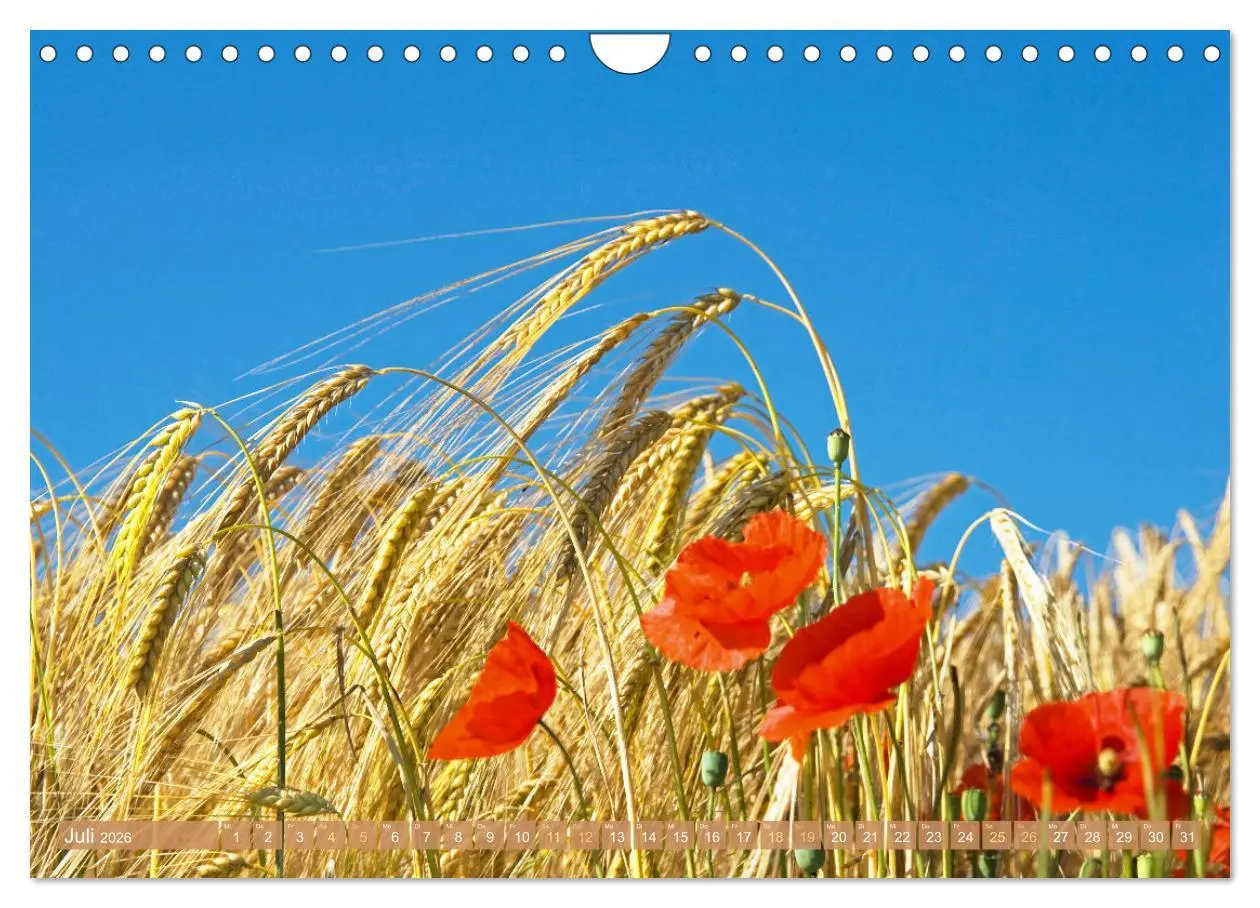 Bild: 9783457365250 | Whisky: Reine Geschmacksache (Wandkalender 2026 DIN A4 quer),...