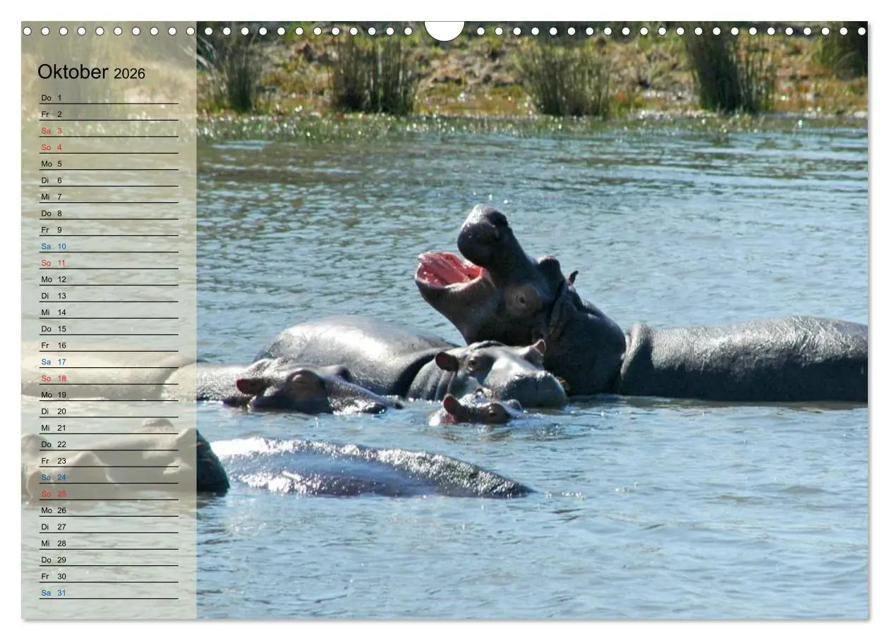 Bild: 9783457985250 | Süd Afrika - vom Krüger Nationalpark bis nach Kapstadt...