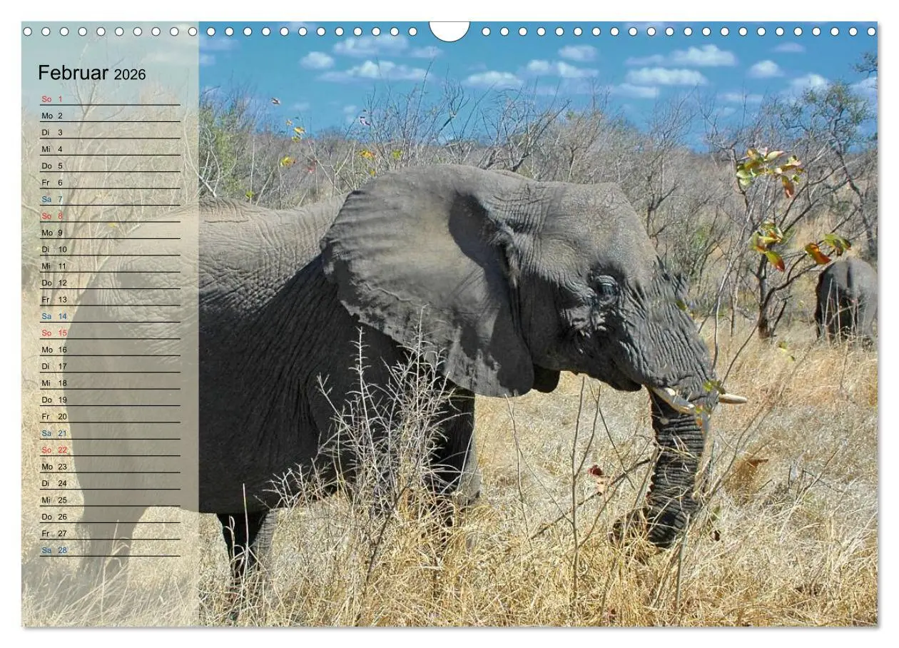 Bild: 9783457985250 | Süd Afrika - vom Krüger Nationalpark bis nach Kapstadt...