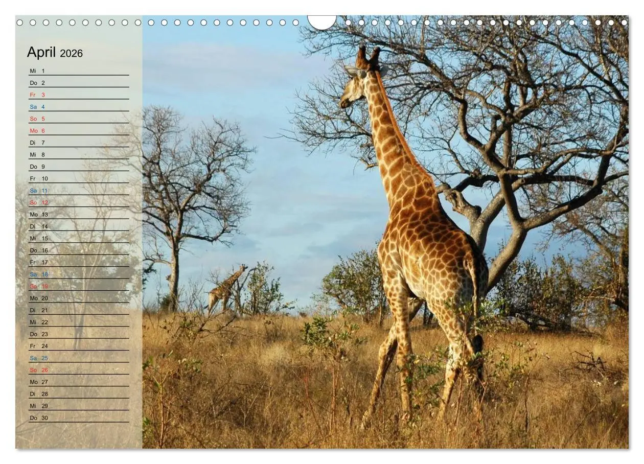 Bild: 9783457985250 | Süd Afrika - vom Krüger Nationalpark bis nach Kapstadt...