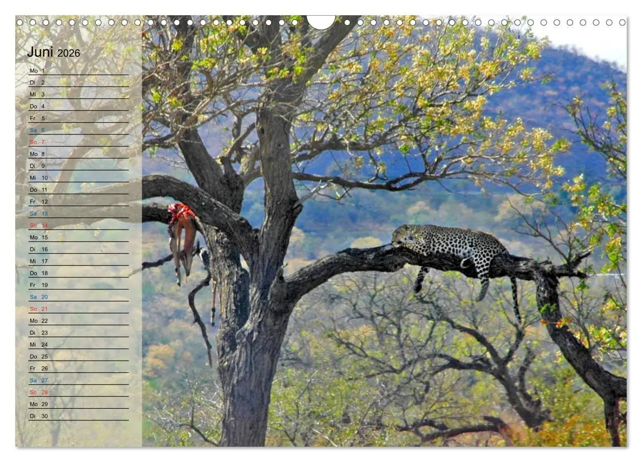 Bild: 9783457985250 | Süd Afrika - vom Krüger Nationalpark bis nach Kapstadt...