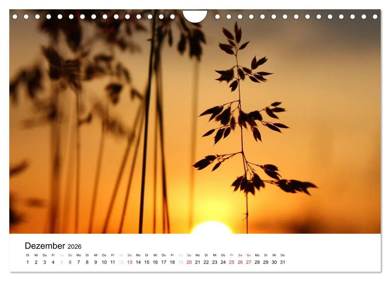 Bild: 9783516215250 | Zarte Natur 2026 (Wandkalender 2026 DIN A4 quer), CALVENDO...