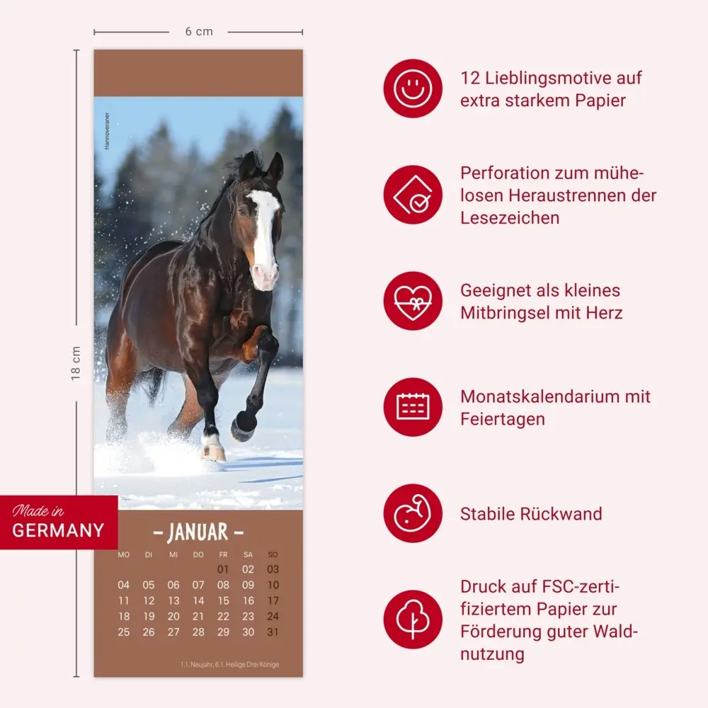 Bild: 9783756415250 | Pferde Lesezeichen &amp; Kalender 2027 | Sabine Stuewer | Kalender | 13 S.