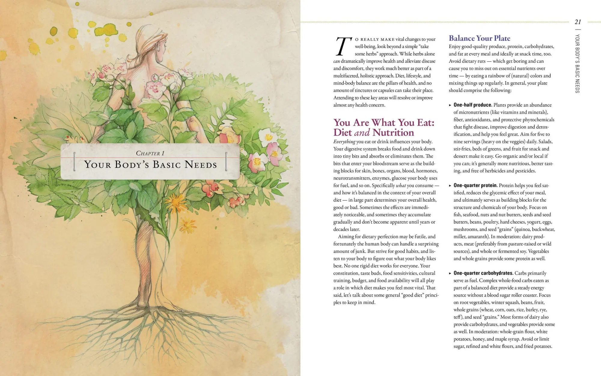 Bild: 9781612125350 | Body Into Balance | An Herbal Guide to Holistic Self-Care | Groves