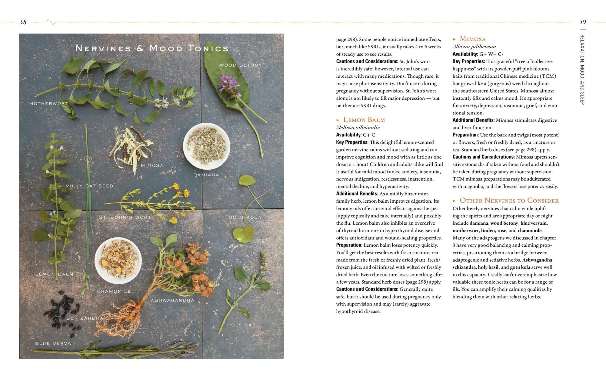 Bild: 9781612125350 | Body Into Balance | An Herbal Guide to Holistic Self-Care | Groves