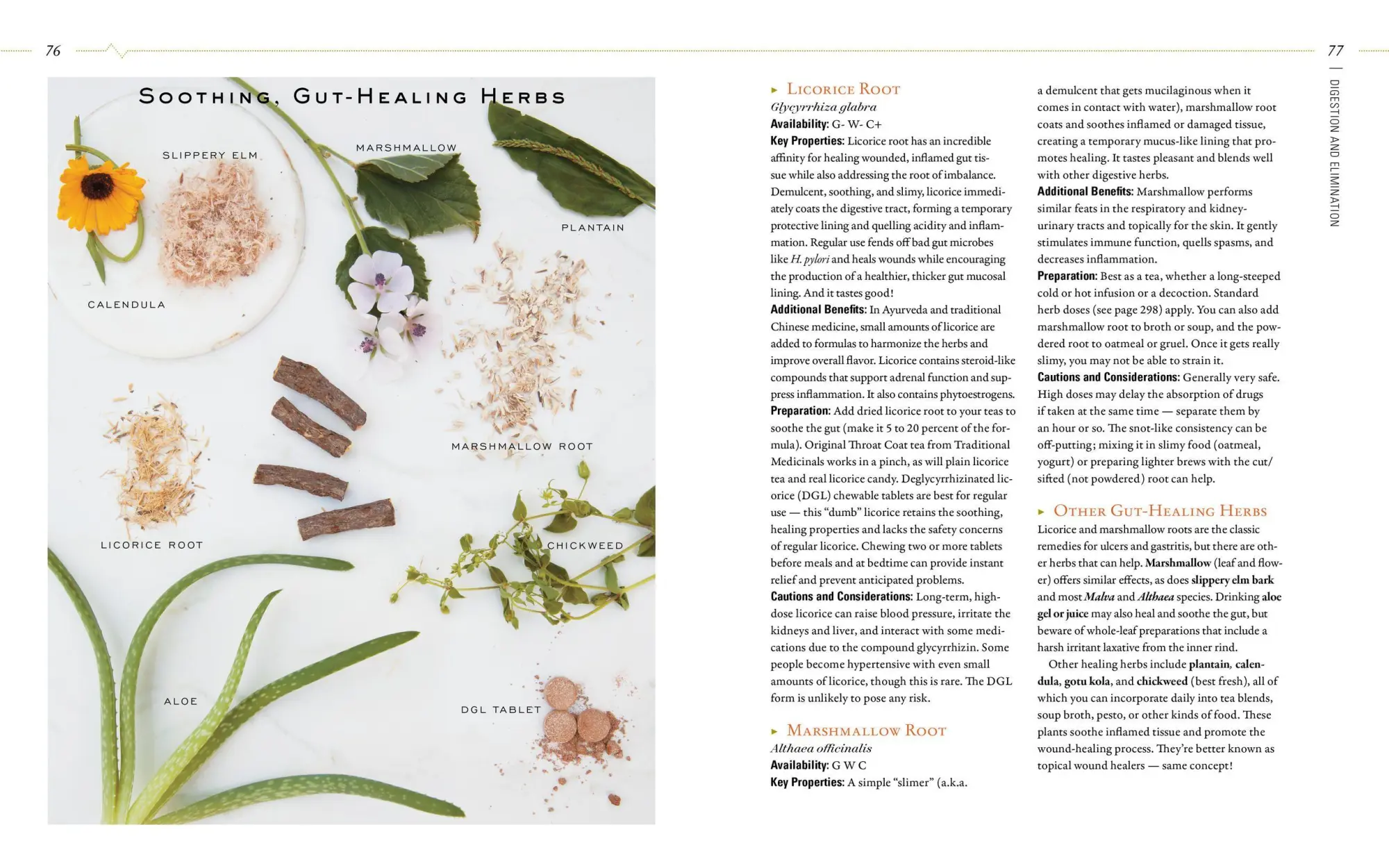 Bild: 9781612125350 | Body Into Balance | An Herbal Guide to Holistic Self-Care | Groves