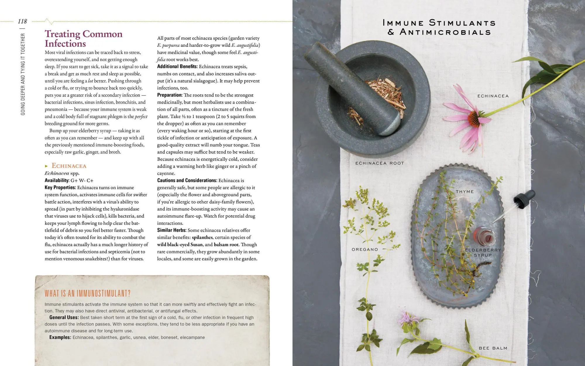 Bild: 9781612125350 | Body Into Balance | An Herbal Guide to Holistic Self-Care | Groves