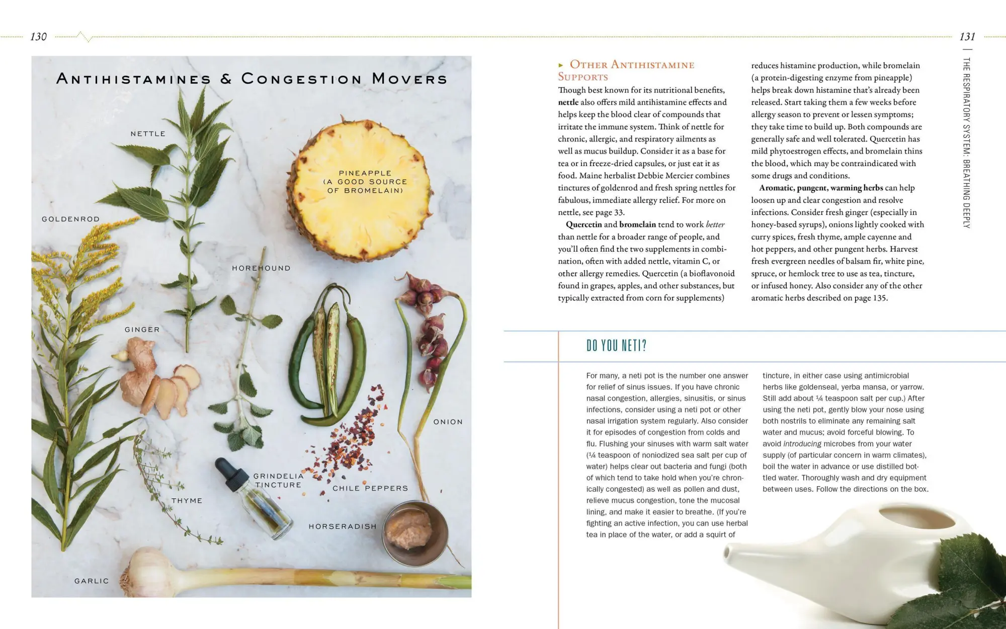 Bild: 9781612125350 | Body Into Balance | An Herbal Guide to Holistic Self-Care | Groves