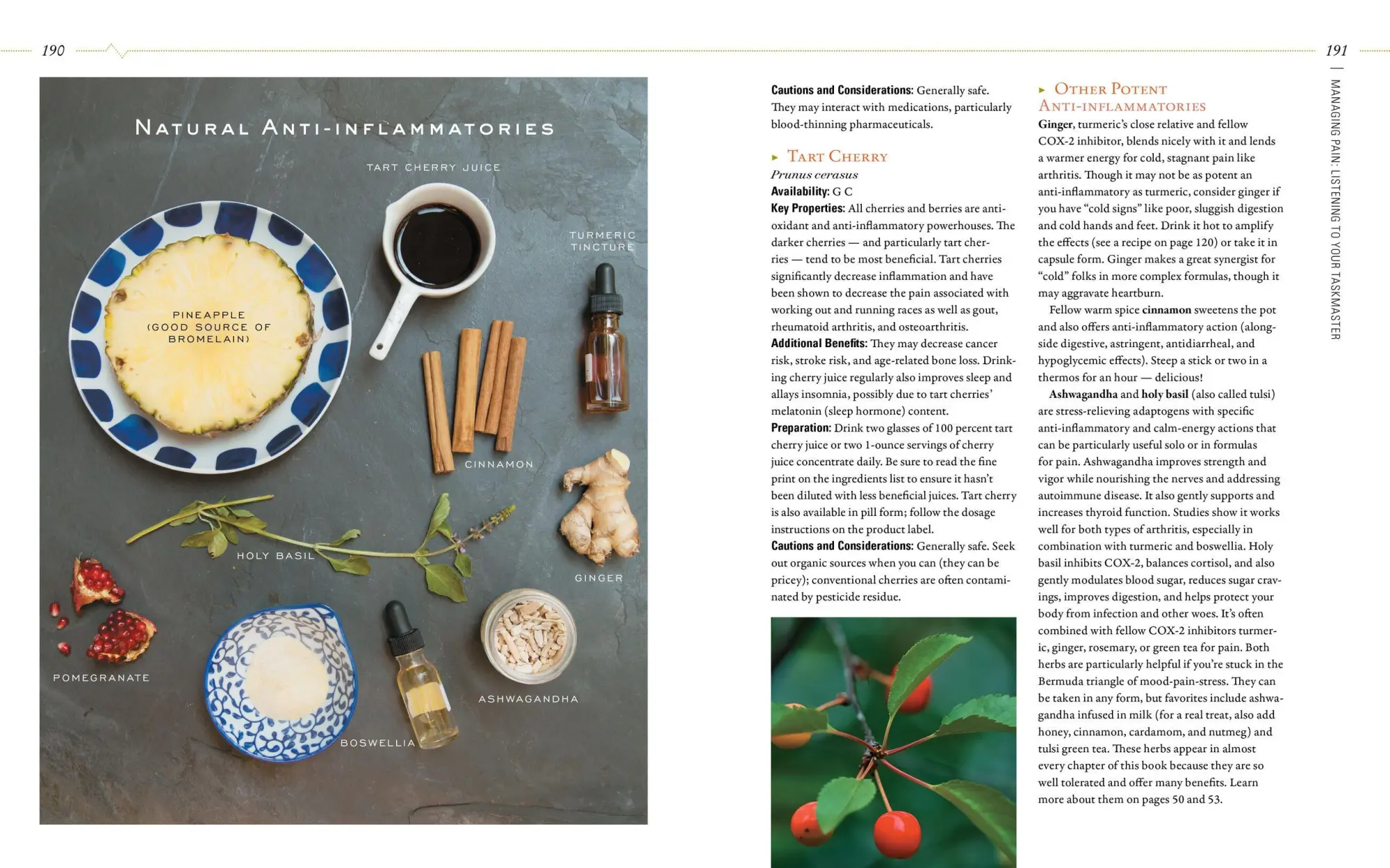 Bild: 9781612125350 | Body Into Balance | An Herbal Guide to Holistic Self-Care | Groves