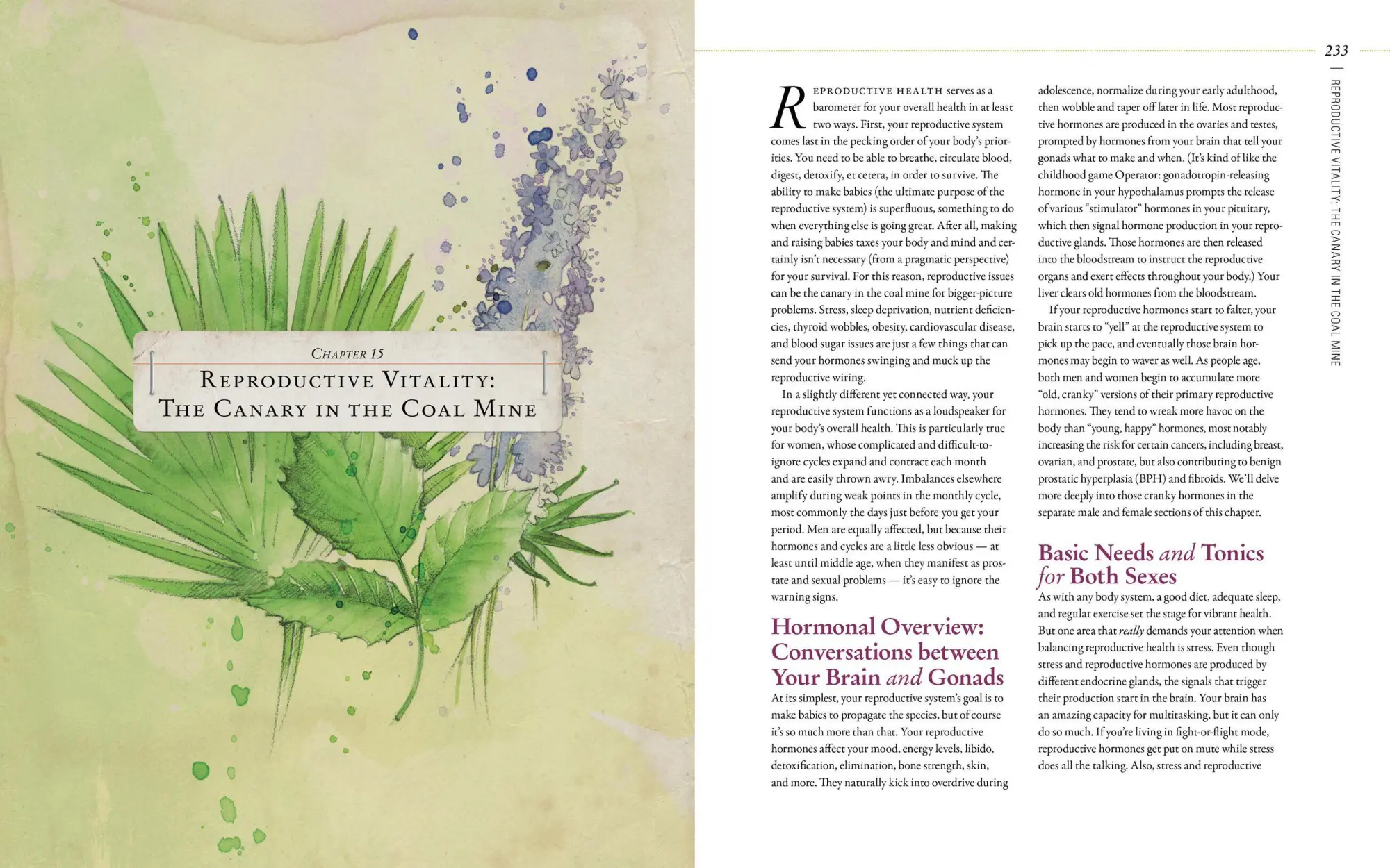 Bild: 9781612125350 | Body Into Balance | An Herbal Guide to Holistic Self-Care | Groves