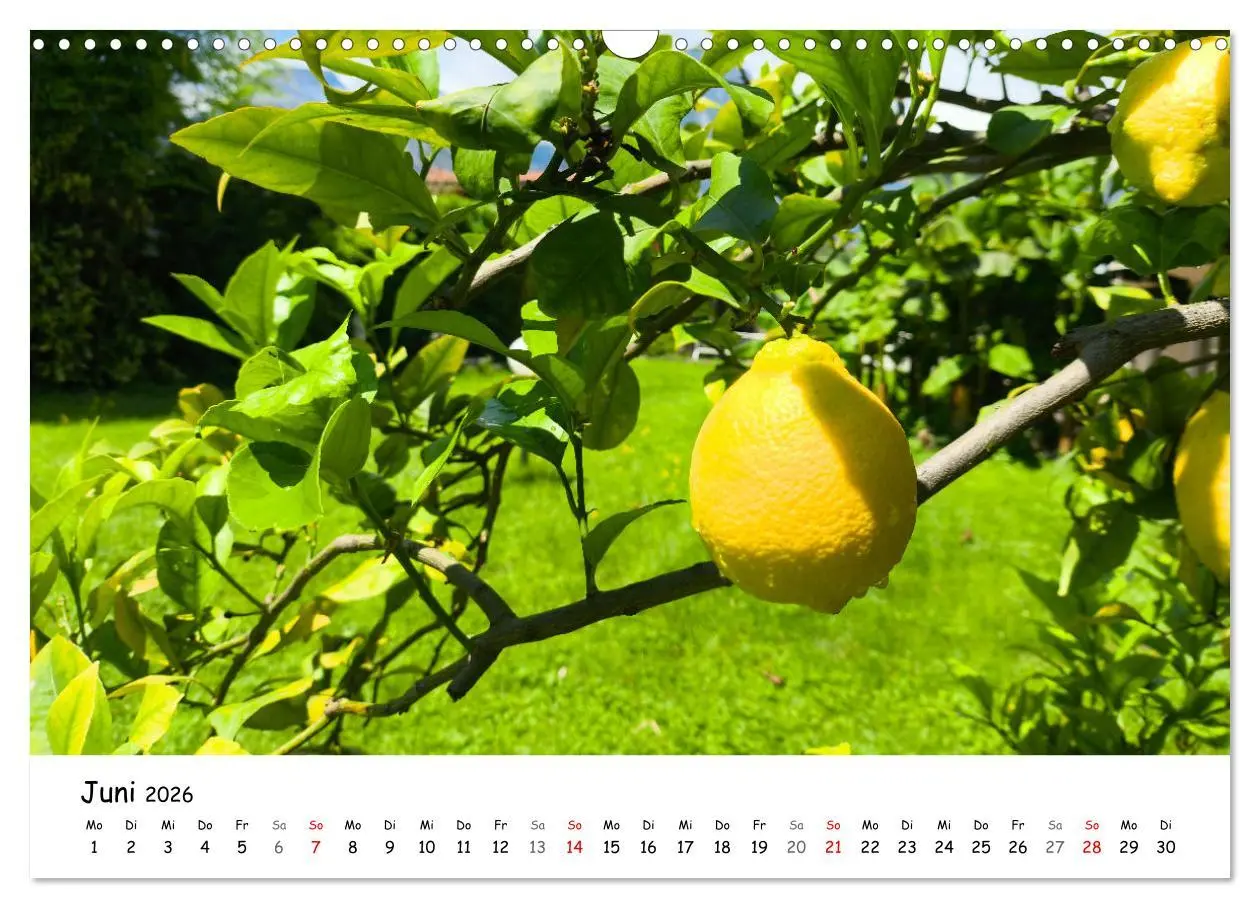 Bild: 9783457355350 | Limone sul Garda - Die Heimat der Zitrone am Gardasee (Wandkalender...