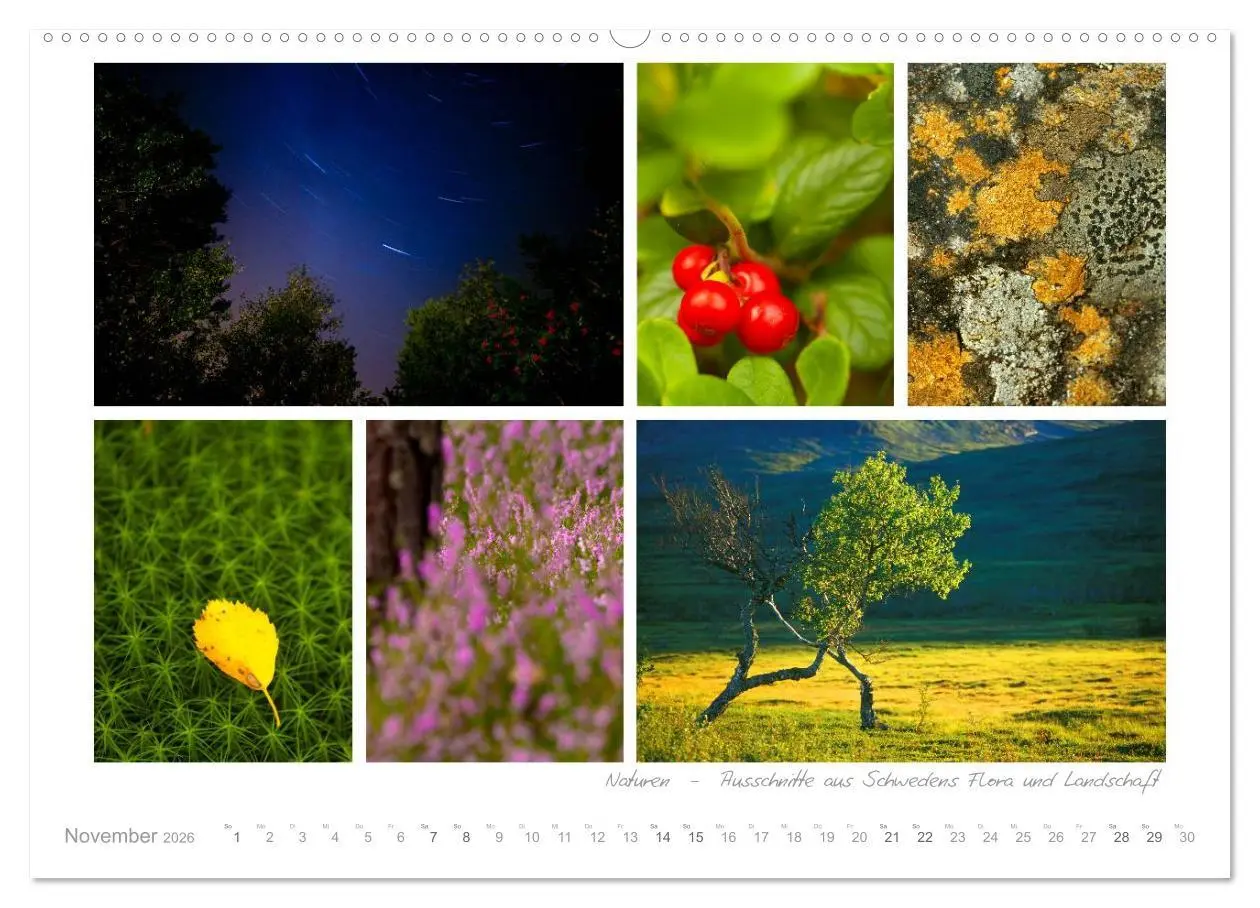 Bild: 9783516205350 | Sehnsucht Schweden - Sverige (Wandkalender 2026 DIN A2 quer),...