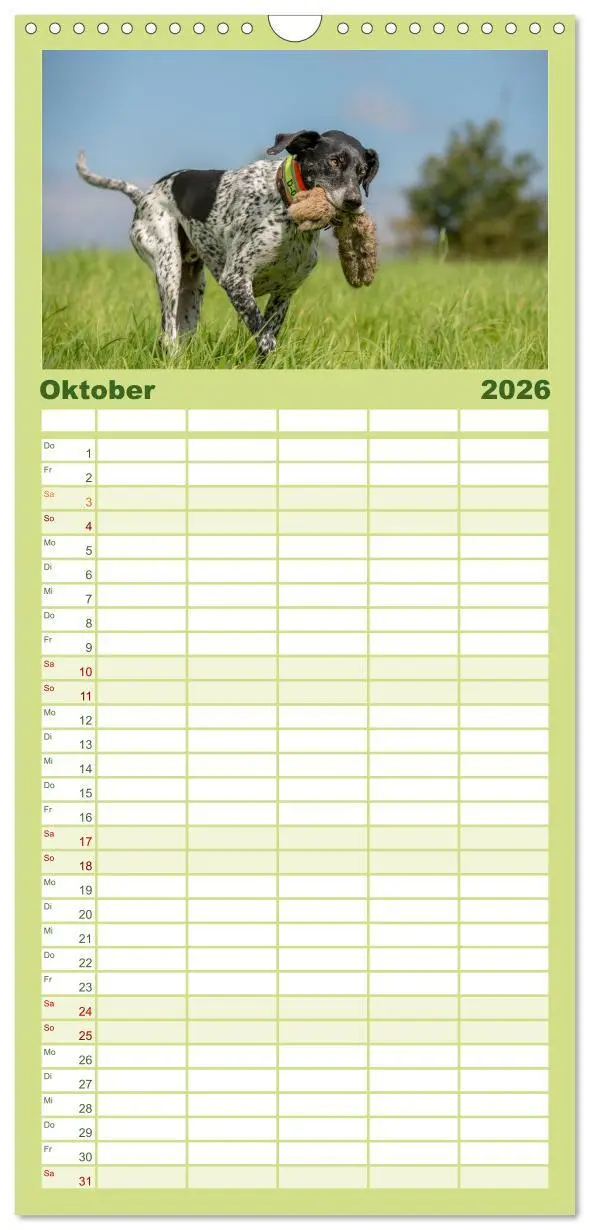 Bild: 9783516515350 | Familienplaner 2026 - Jagdhunde bei der Arbeit mit 5 Spalten...