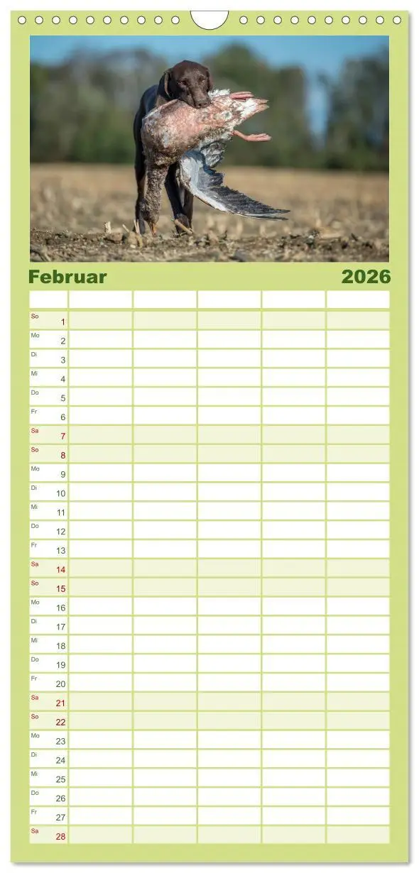Bild: 9783516515350 | Familienplaner 2026 - Jagdhunde bei der Arbeit mit 5 Spalten...