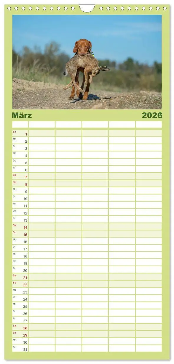 Bild: 9783516515350 | Familienplaner 2026 - Jagdhunde bei der Arbeit mit 5 Spalten...