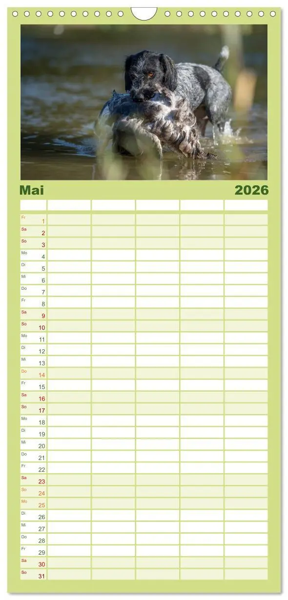 Bild: 9783516515350 | Familienplaner 2026 - Jagdhunde bei der Arbeit mit 5 Spalten...