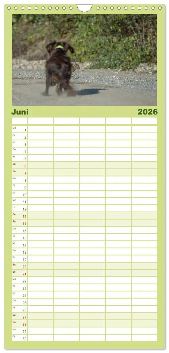 Bild: 9783516515350 | Familienplaner 2026 - Jagdhunde bei der Arbeit mit 5 Spalten...