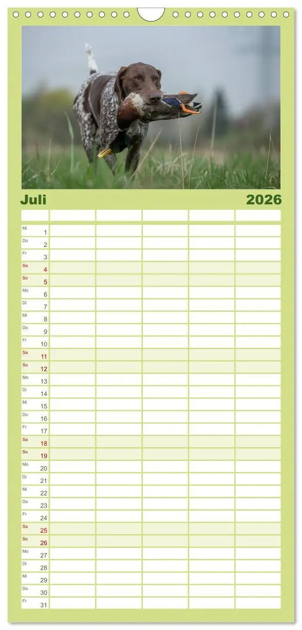 Bild: 9783516515350 | Familienplaner 2026 - Jagdhunde bei der Arbeit mit 5 Spalten...