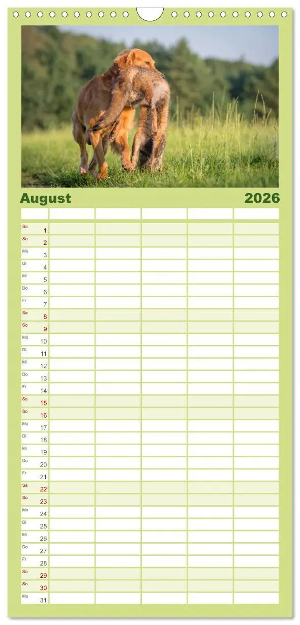 Bild: 9783516515350 | Familienplaner 2026 - Jagdhunde bei der Arbeit mit 5 Spalten...