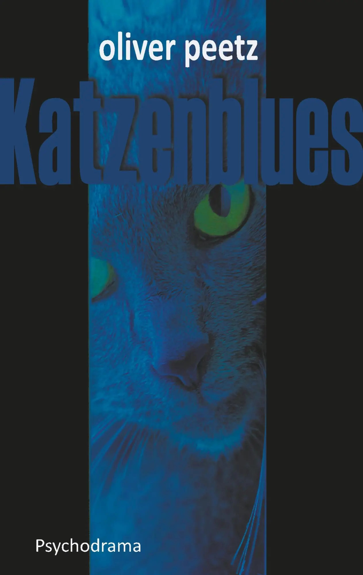 Cover: 9783746055350 | Katzenblues | Oliver Peetz | Taschenbuch | 268 S. | Deutsch | 2018