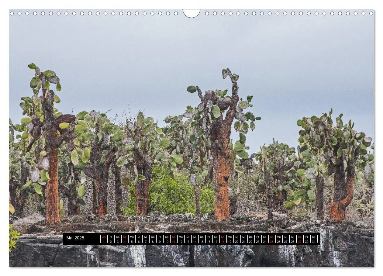 Bild: 9783435705450 | Galapagos- Landschaften (Wandkalender 2025 DIN A3 quer), CALVENDO...
