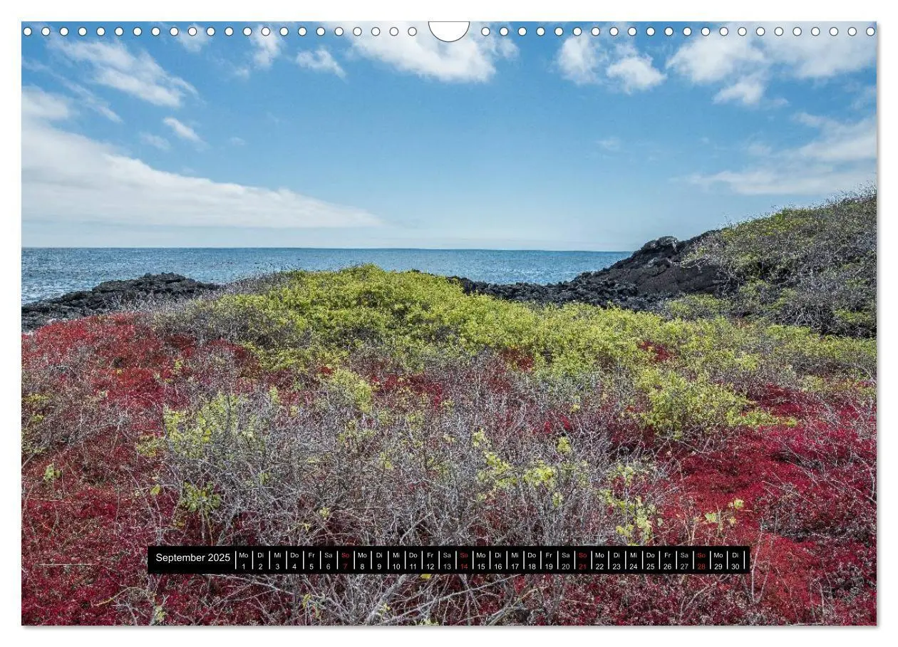Bild: 9783435705450 | Galapagos- Landschaften (Wandkalender 2025 DIN A3 quer), CALVENDO...