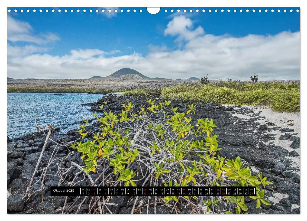 Bild: 9783435705450 | Galapagos- Landschaften (Wandkalender 2025 DIN A3 quer), CALVENDO...