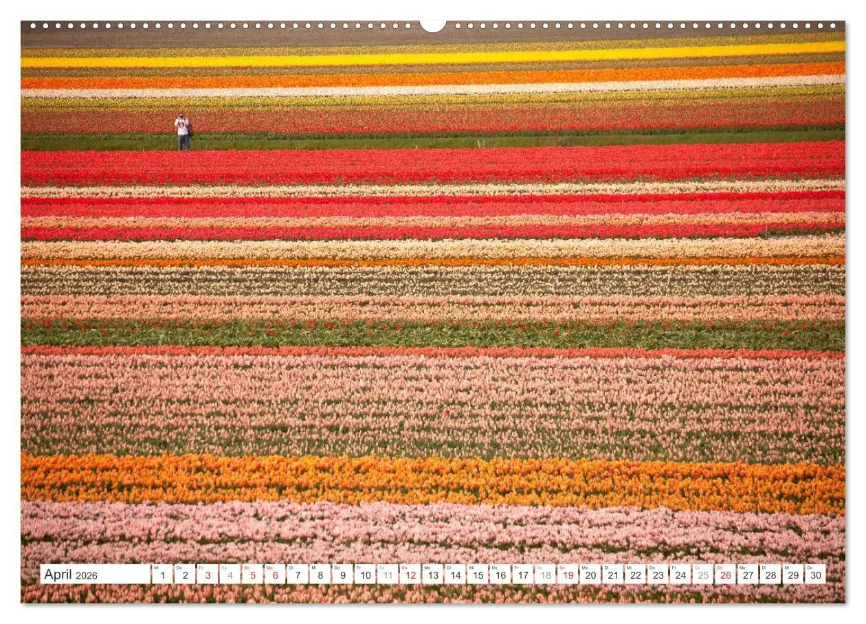 Bild: 9783457275450 | Die ganze Vielfalt der Niederlande (hochwertiger Premium...